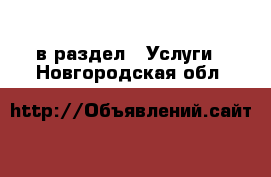  в раздел : Услуги . Новгородская обл.